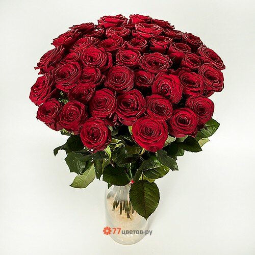 Розы "Red Naomi" 